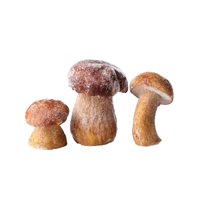 whole-porcini-mushroom-52001-1.png